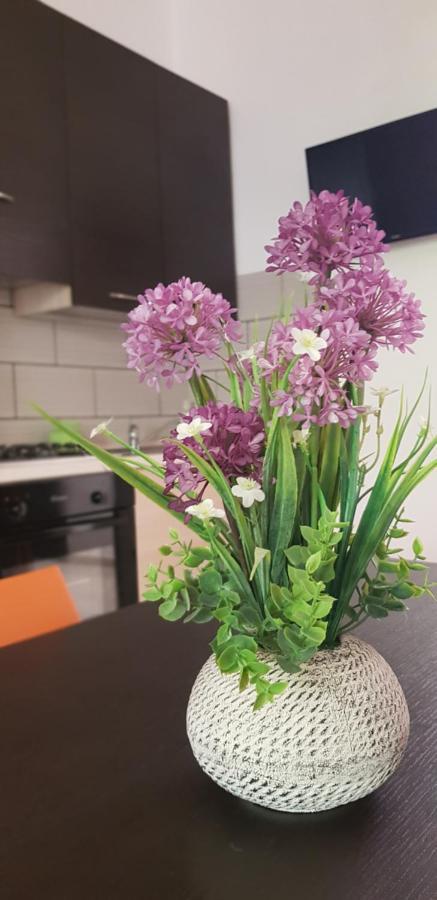 Appartamento Fiore Di Zagara 100Mt Dal Mare Сан-Вито-Ло-Капо Экстерьер фото