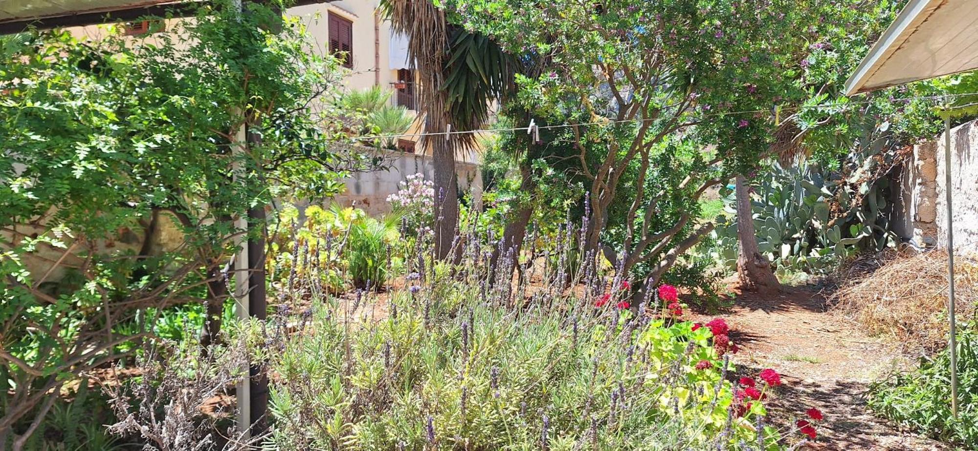 Appartamento Fiore Di Zagara 100Mt Dal Mare Сан-Вито-Ло-Капо Экстерьер фото
